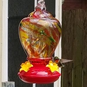 Meet your Posher, Joni